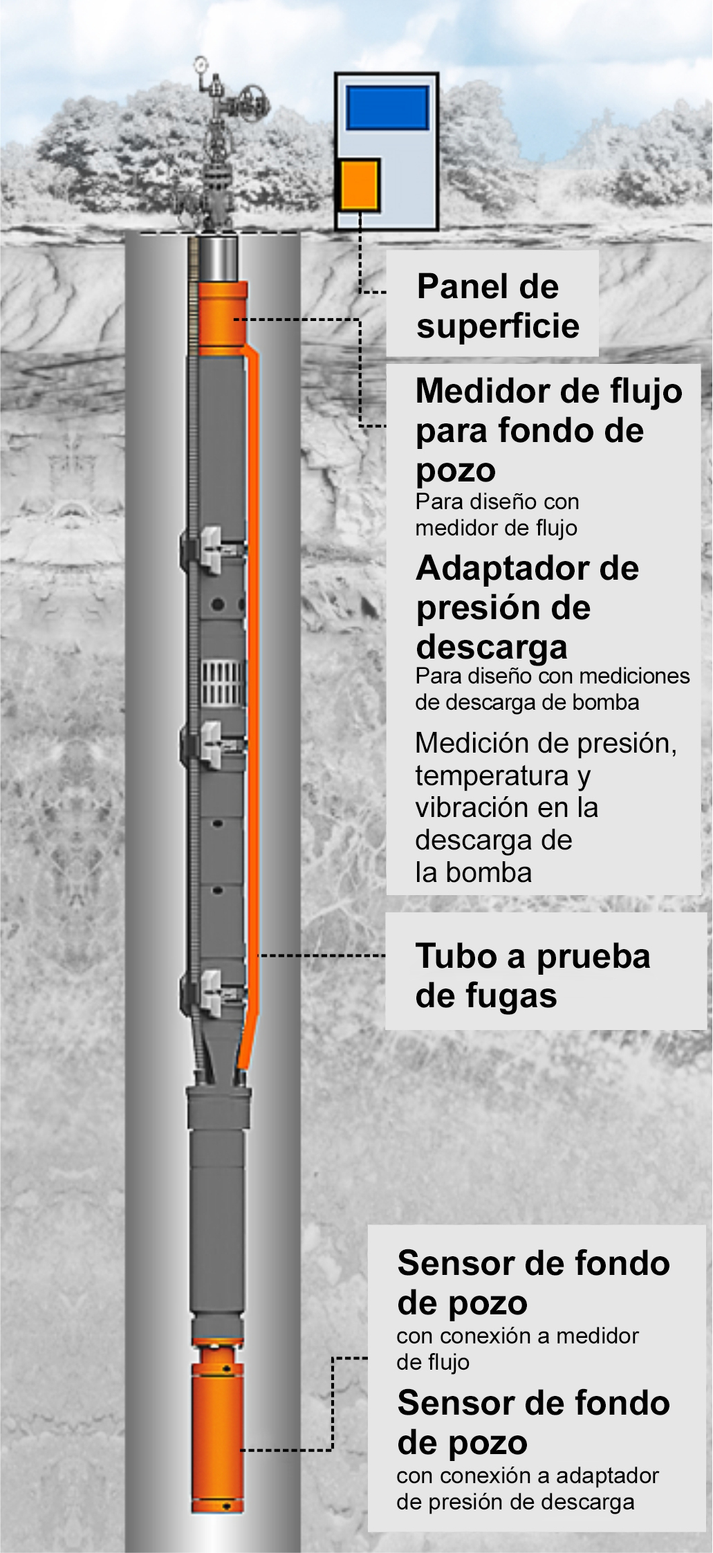 Diagrama que muestra la configuraci&oacute;n extendida del sensor de BES con medidor de flujo